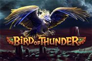 BIRD OF THUNDER?v=2.8.6