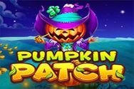 PUMPKIN PATCH?v=2.8.6