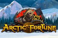 ARCTIC FORTUNE?v=2.8.6