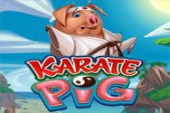 KARATE PIG?v=2.8.6