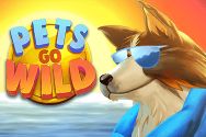 PETS GO WILD?v=2.8.6
