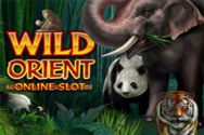 WILD ORIENT?v=2.8.6