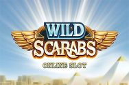 WILD SCARABS?v=2.8.6