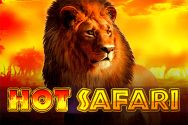 HOT SAFARI?v=2.8.6