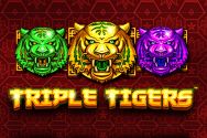 TRIPLE TIGERS?v=2.8.6